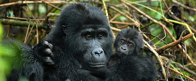 Rwanda