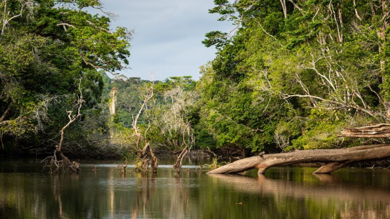 Gabon